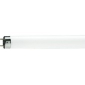 картинка Лампа TL-D 36W/33  (Philips)(25шт.)